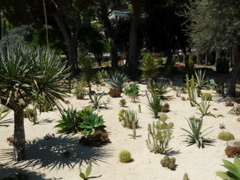 Cactus Garden at the Baha'i Shrine of the Bab in Haifa (rw)