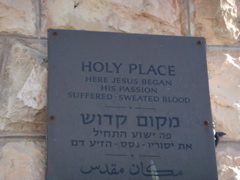 Sign on the Basilica of the Agony, the Church of all Nations (hs)