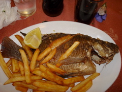 Traditional St. Peter's Fish lunch at Turanteen in Galilee (sy)
