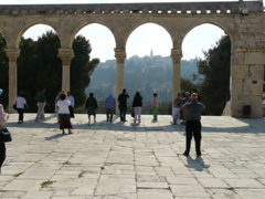 We look towards the Mount of Olives from the Temple Mount (rw)